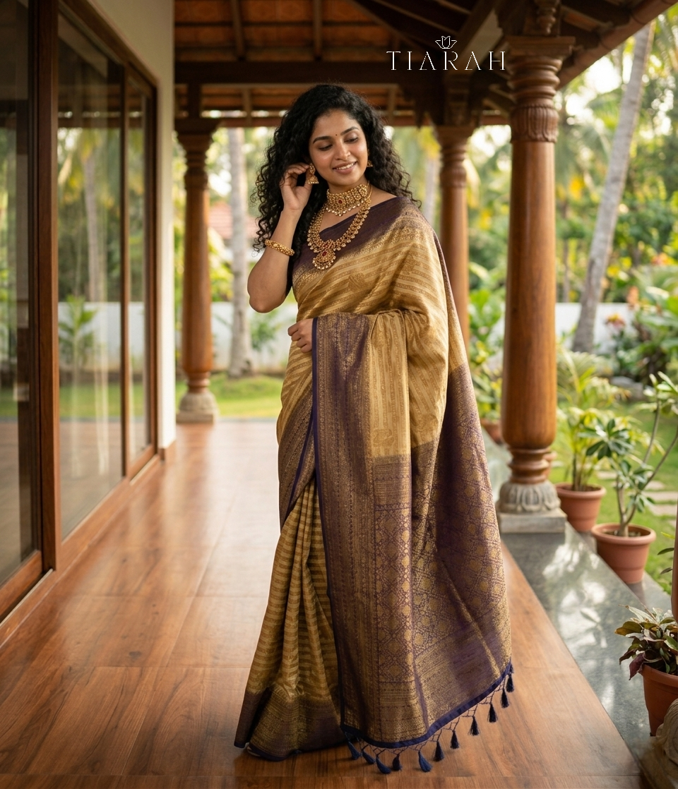 Banarasi Georgette Saree