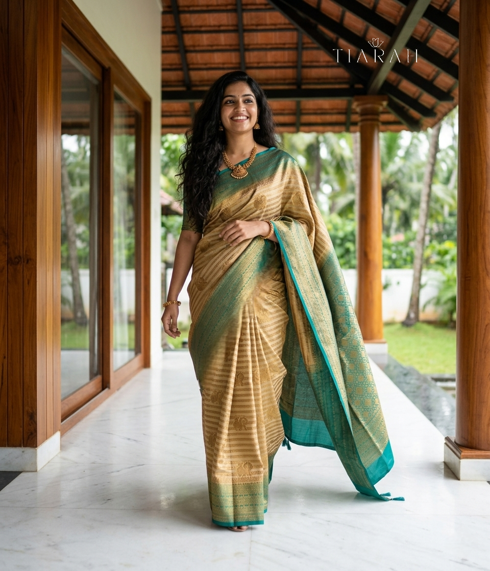 Banarasi Georgette Saree